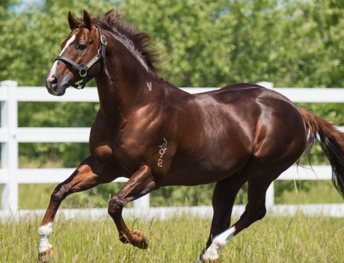 WRITTEN TYCOON’S PROGENY ARE AIRBORNE!