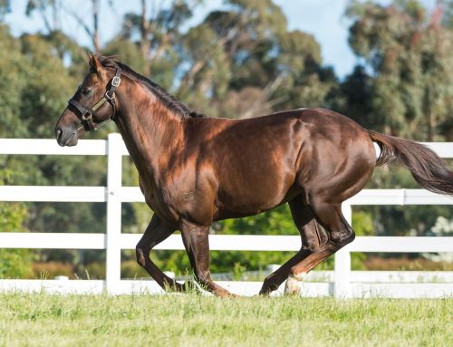 FILLIES COLLECT THE DOSH ON LADIES DAY