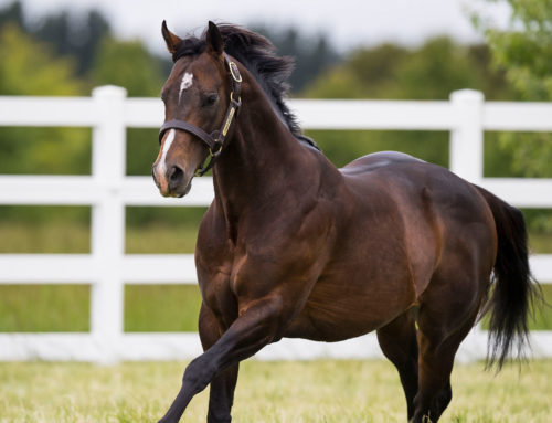 GRIFFITHS IS KING OF THE CABLE