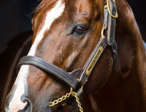 ON TRACK FOR A RECORD BREAKING SEASON.