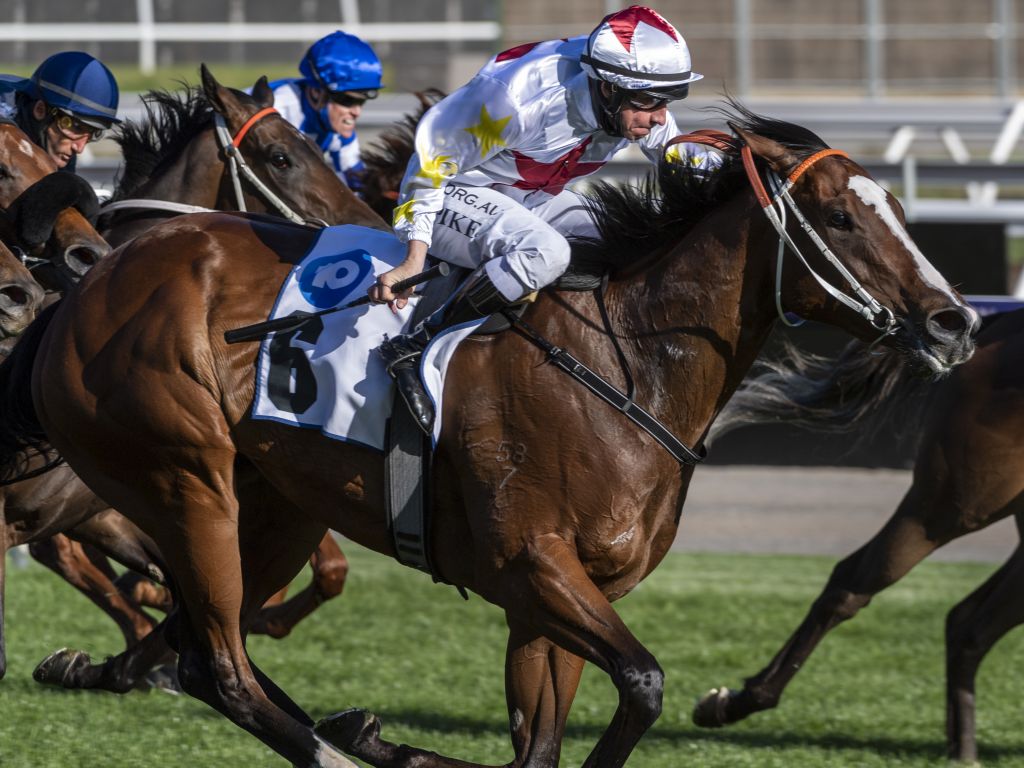 3YO Filly Written Beauty Becomes The 40th Stakes Winner For Written Tycoon.